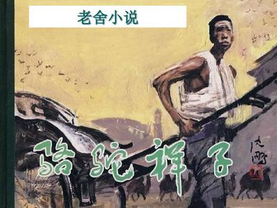 收藏5个网址以上才是好狼友